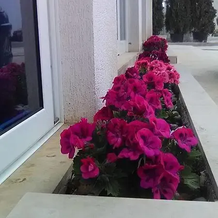Aler 4* Sarandë