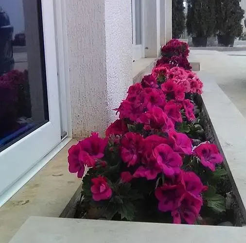 Aler 4* Sarande