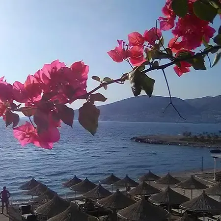 Aler Hotel 4*